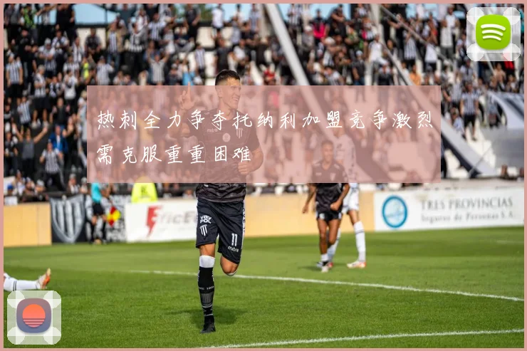 热刺全力争夺托纳利加盟竞争激烈需克服重重困难